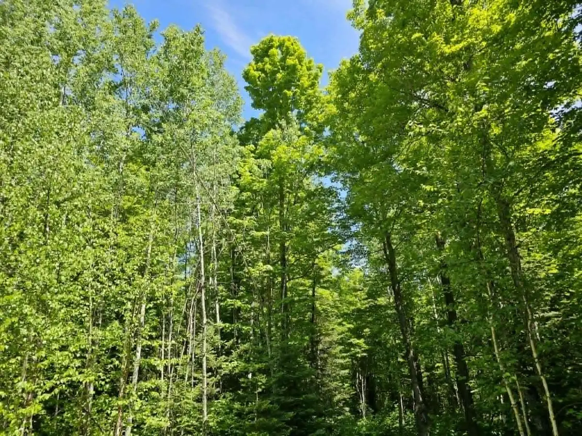 W HERZOG ROAD, Iron Mountain, MI 49801 - #1
