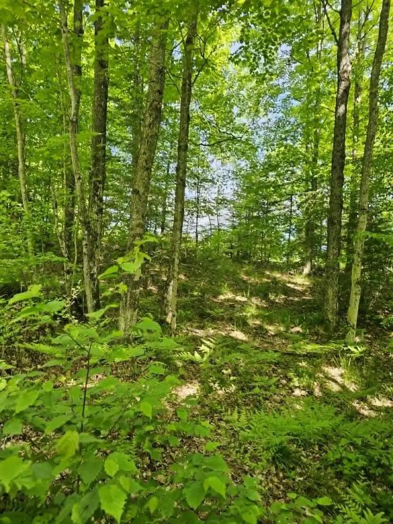 W HERZOG ROAD, Iron Mountain, MI 49801 - #3