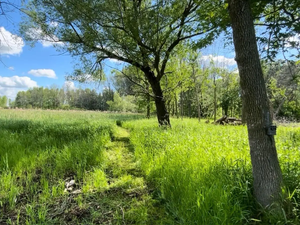 COUNTY RD B, Winneconne, WI 54986 - #1