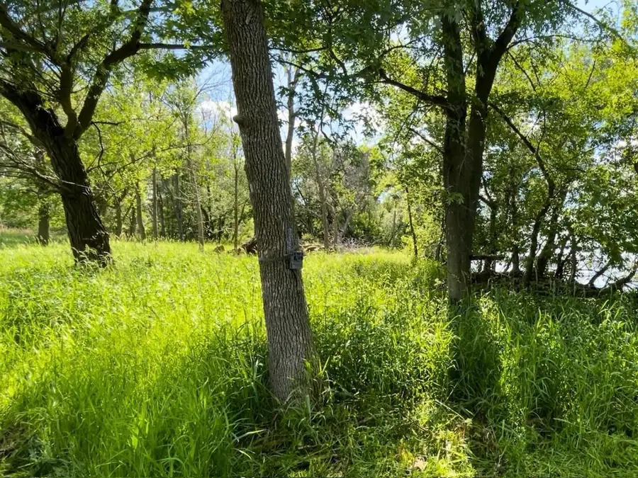COUNTY RD B, Winneconne, WI 54986 - #2