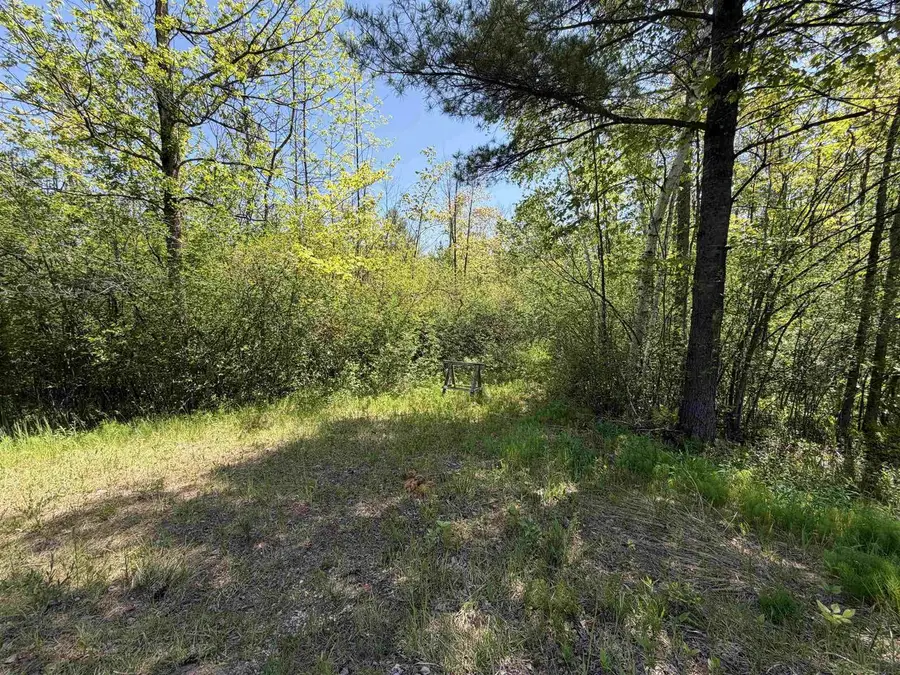 RANGELINE ROAD, Menominee, MI 49858 - #2
