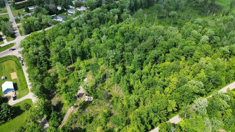 N5610 RESORT ROAD, Bonduel, WI 54107 - #3