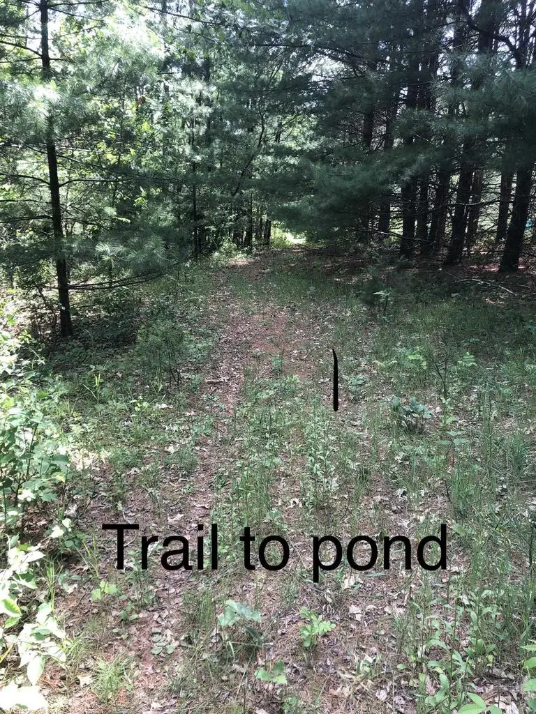 COUNTY RD E, Neshkoro, WI 54960 - #1