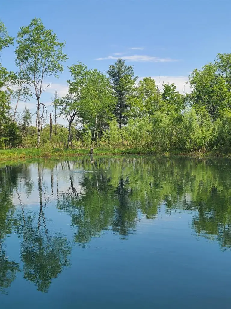 COUNTY RD E, Neshkoro, WI 54960 - #2