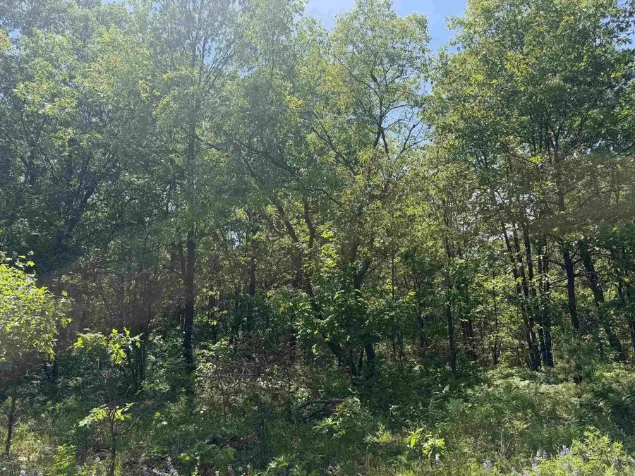 NORTH COURT, Shawano, WI 54166 - #2