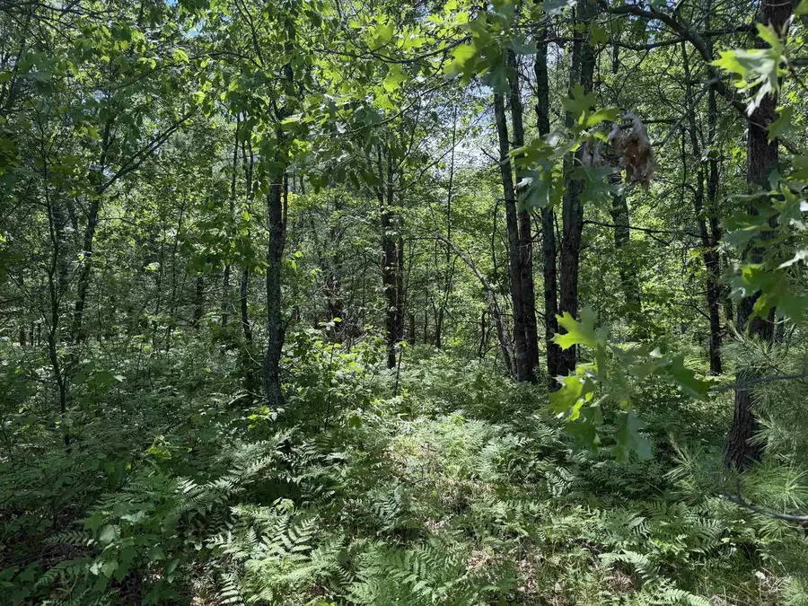 NORTH COURT, Shawano, WI 54166 - #3