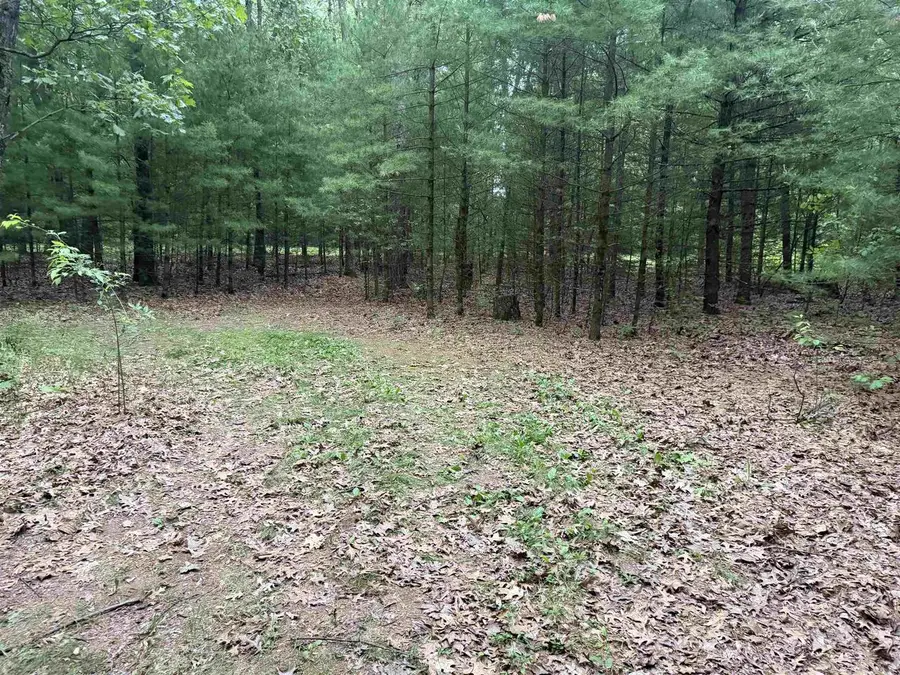 N4563 SHADY CIRCLE DRIVE, Redgranite, WI 54970 - #2