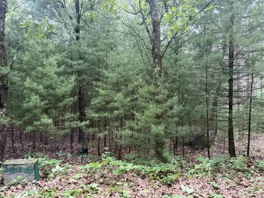 N4563 SHADY CIRCLE DRIVE, Redgranite, WI 54970 - #3
