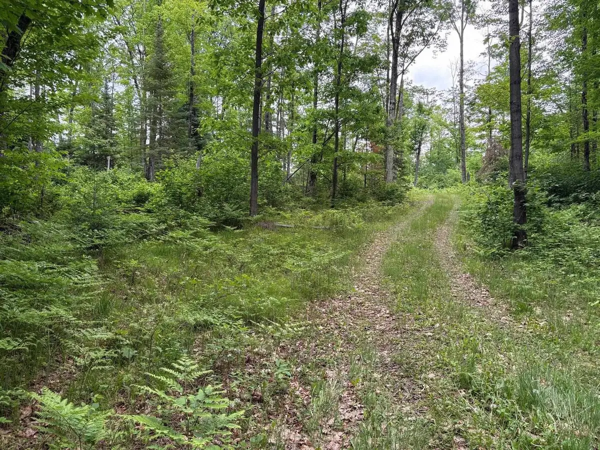 W15816 FAWN ACRES ROAD, Goodman, WI 54125 - #1