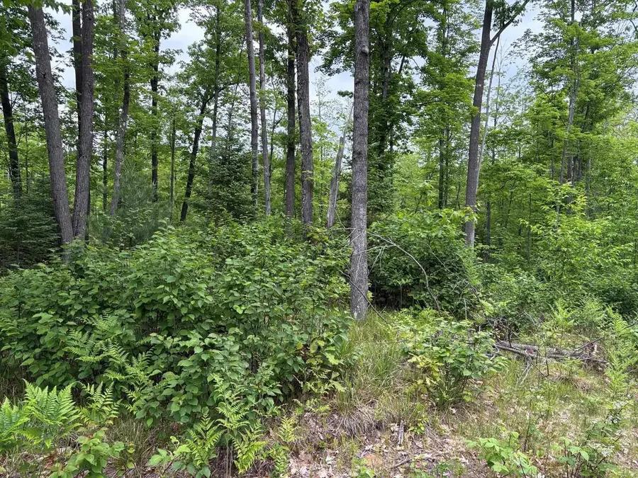 W15816 FAWN ACRES ROAD, Goodman, WI 54125 - #3