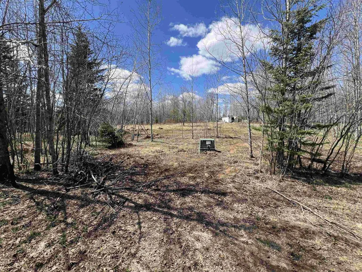 DREAM LAKE ROAD, Tipler, WI 54542 - #1
