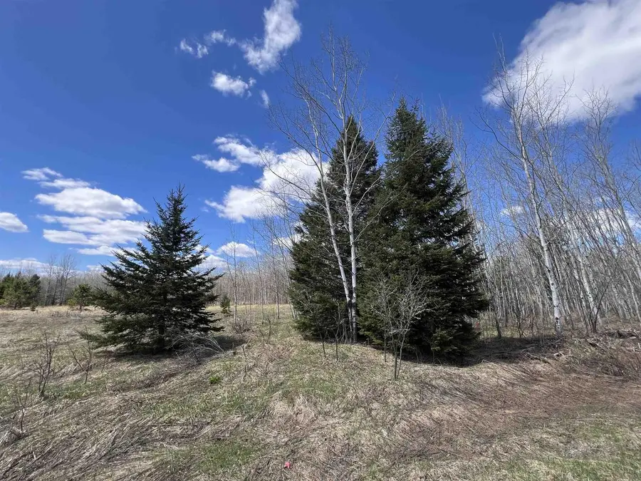DREAM LAKE ROAD, Tipler, WI 54542 - #2