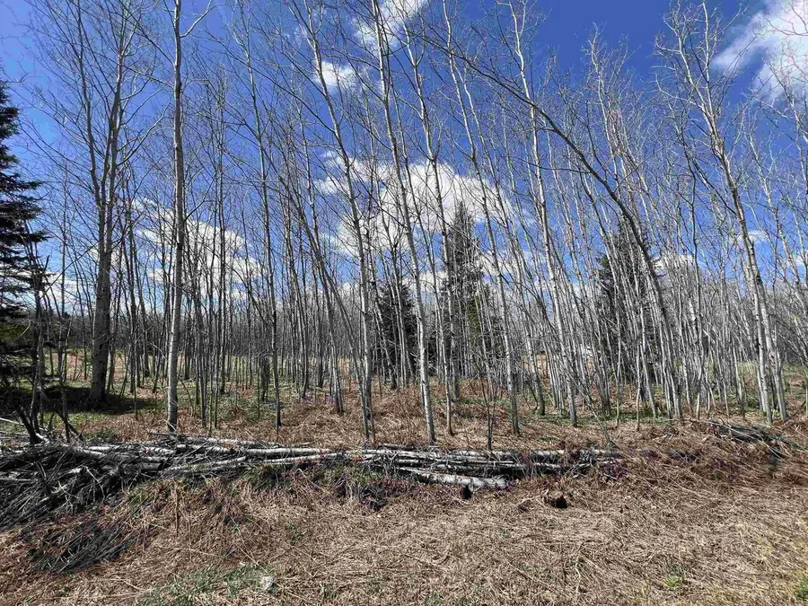 DREAM LAKE ROAD, Tipler, WI 54542 - #3