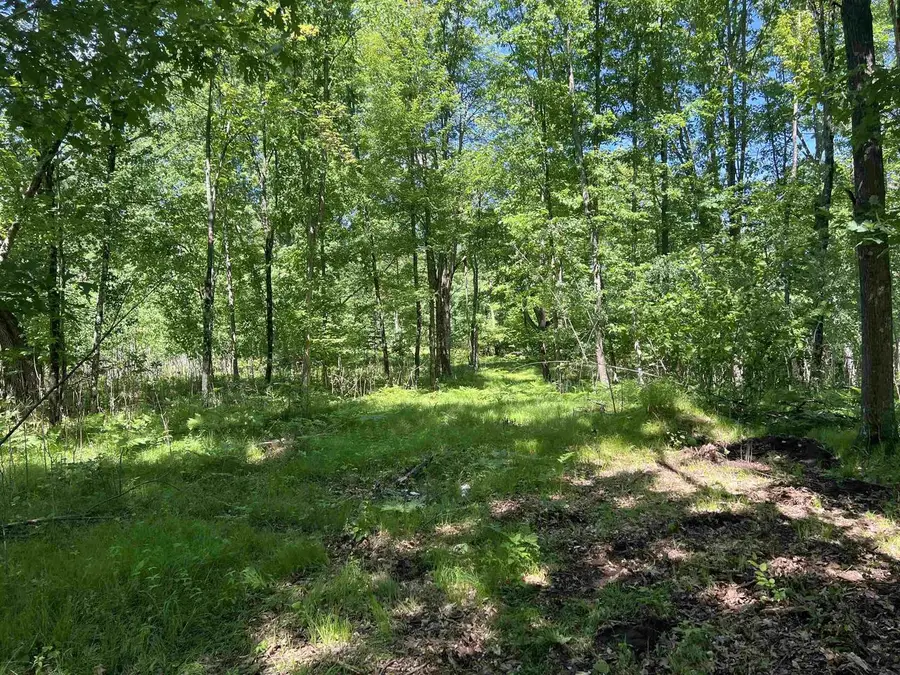 RHETT LANE, Wausaukee, WI 54177 - #2