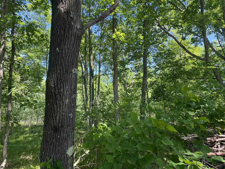 RHETT LANE, Wausaukee, WI 54177 - #3