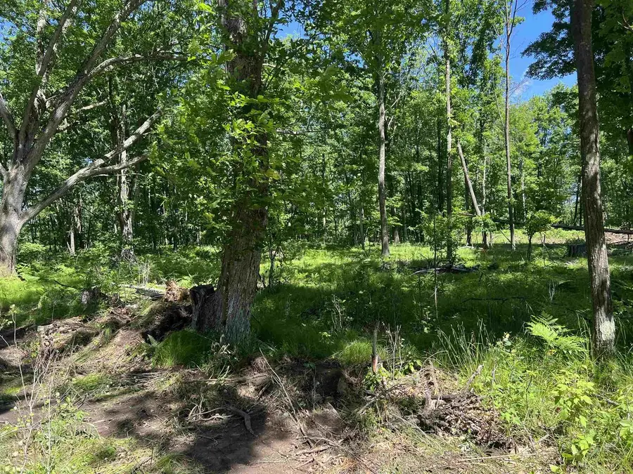RHETT LANE, Wausaukee, WI 54177 - #2