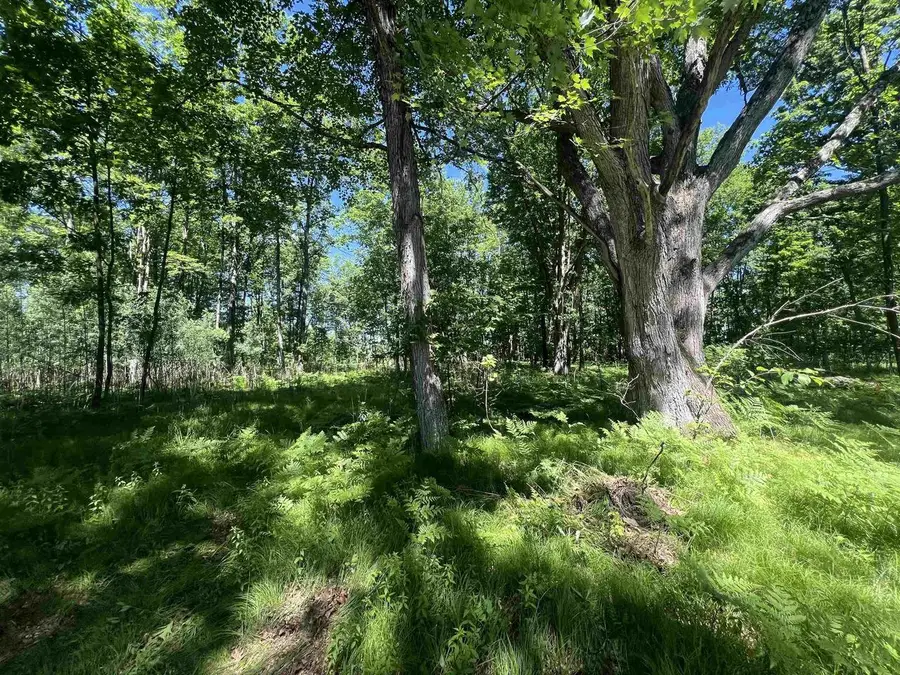 RHETT LANE, Wausaukee, WI 54177 - #3