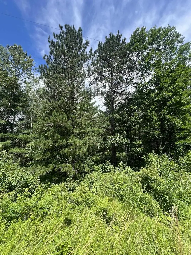 US 141 HWY, Crystal Falls, MI 49920 - #2