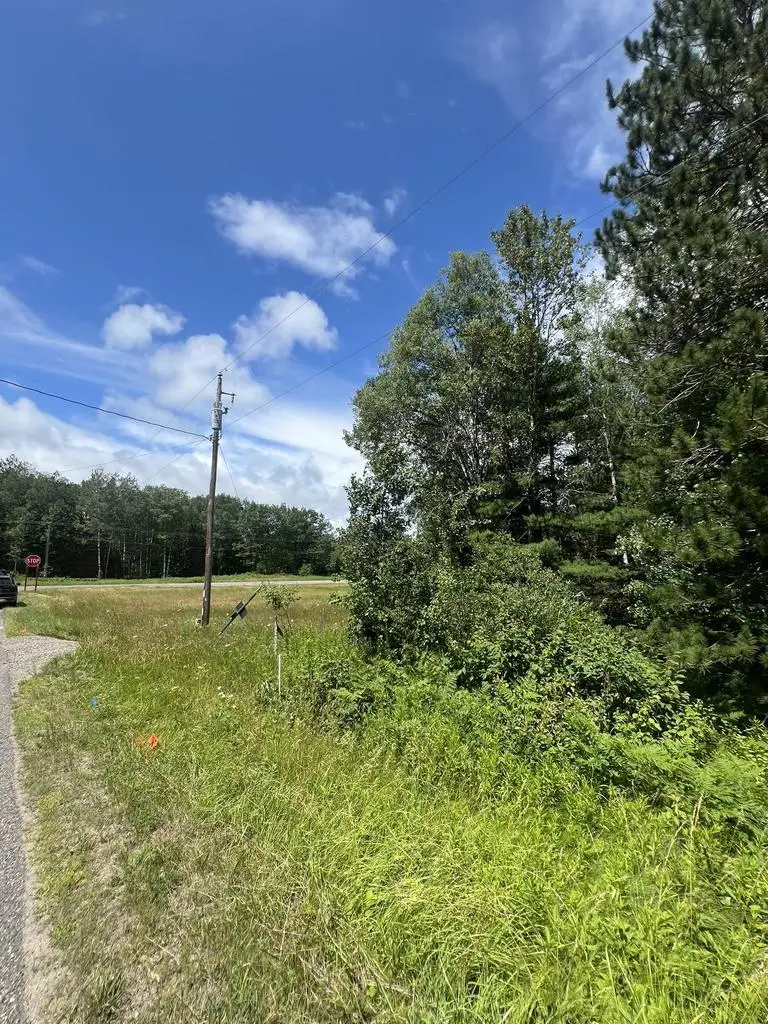 US 141 HWY, Crystal Falls, MI 49920 - #3