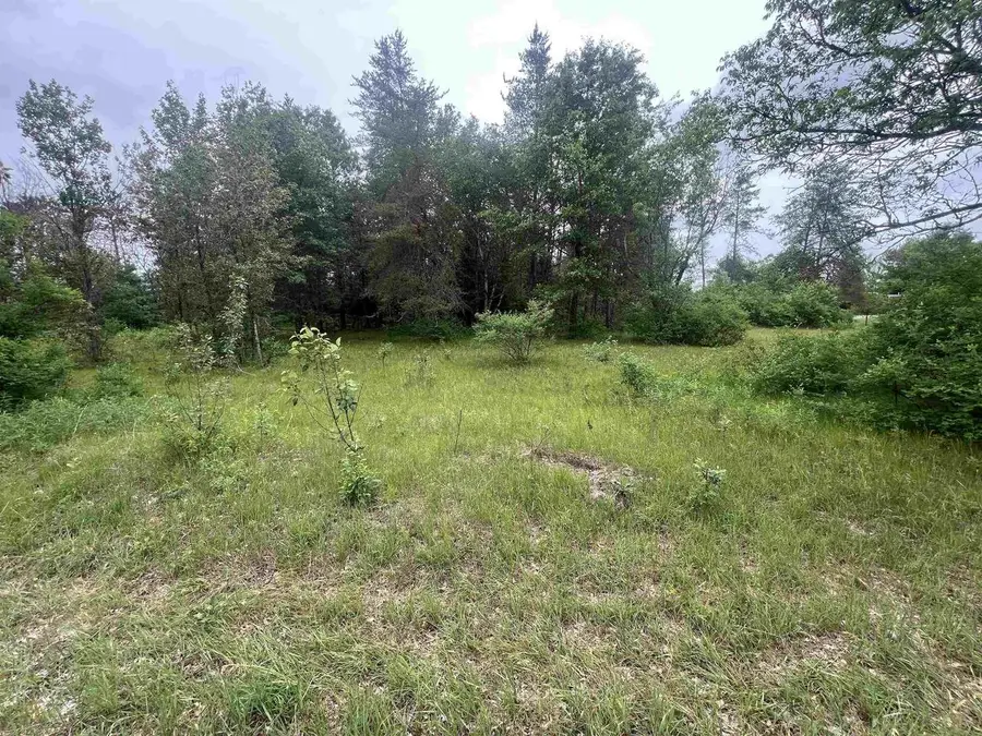 W8192 BIELAK ROAD, Wausaukee, WI 54177 - #3