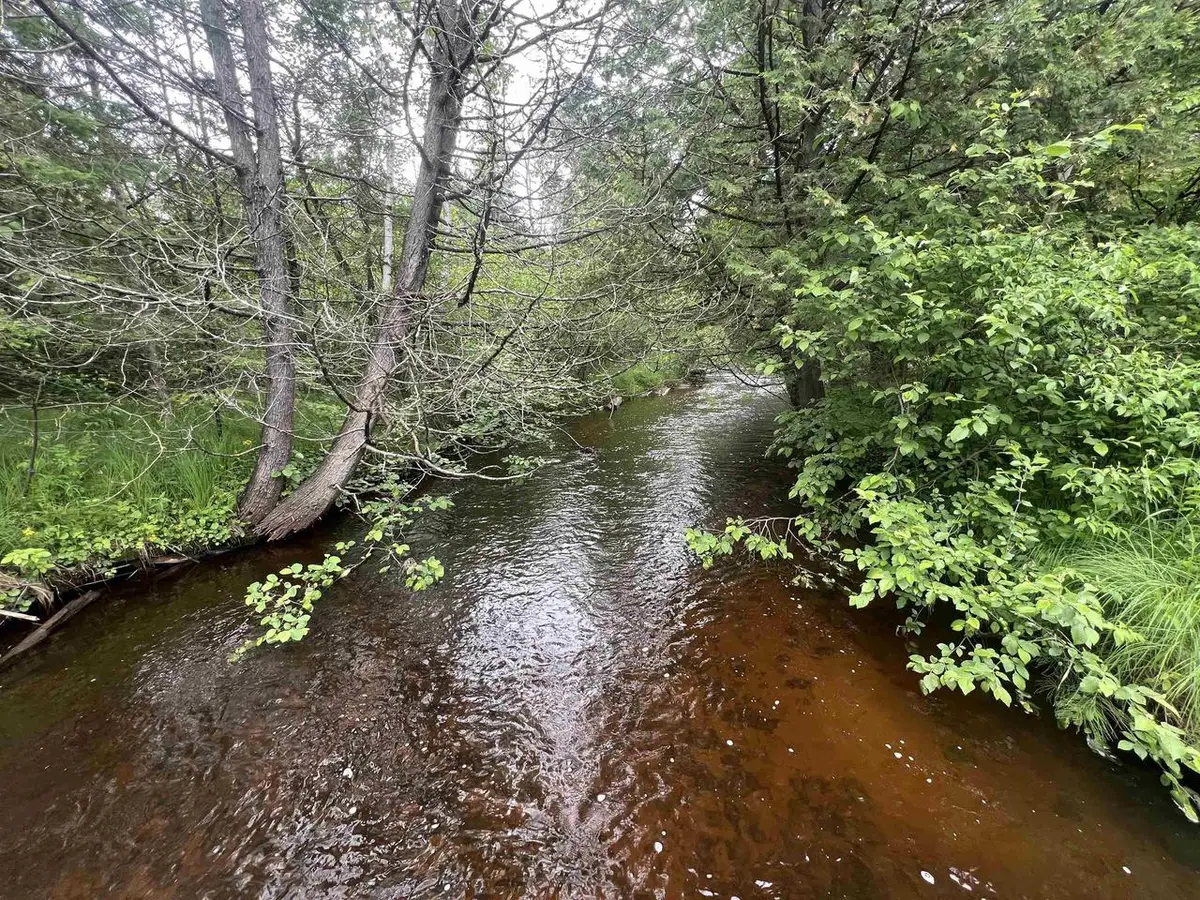 BIELAK ROAD, Wausaukee, WI 54177 - #1