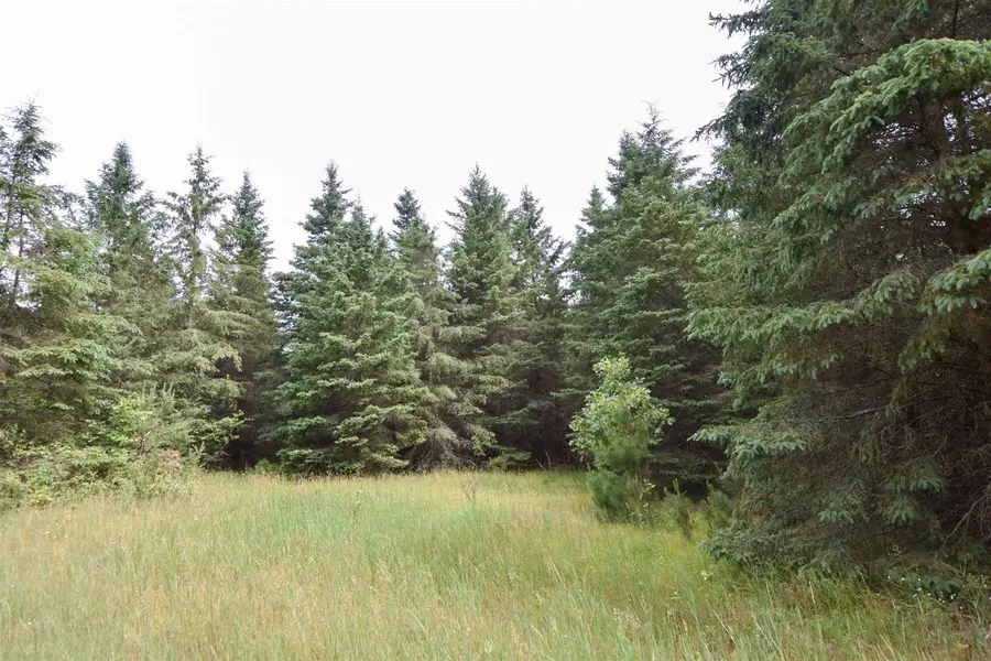 BROWN DEER DRIVE, Hancock, WI 54943 - #3