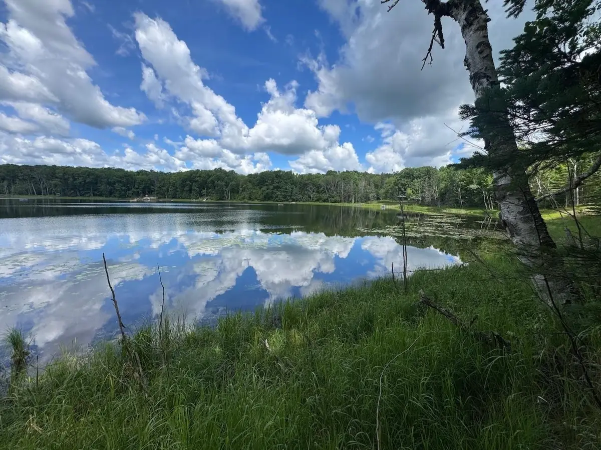 BLUE HERON LANE, Athelstane, WI 54104 - #1