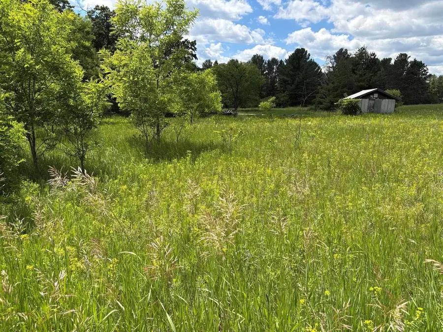 N GREENVIEW LANE, Crivitz, WI 54114 - #2