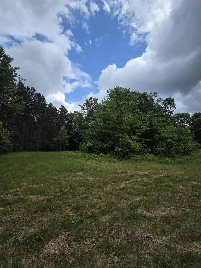 TOWER ROAD, Athelstane, WI 54104 - #1