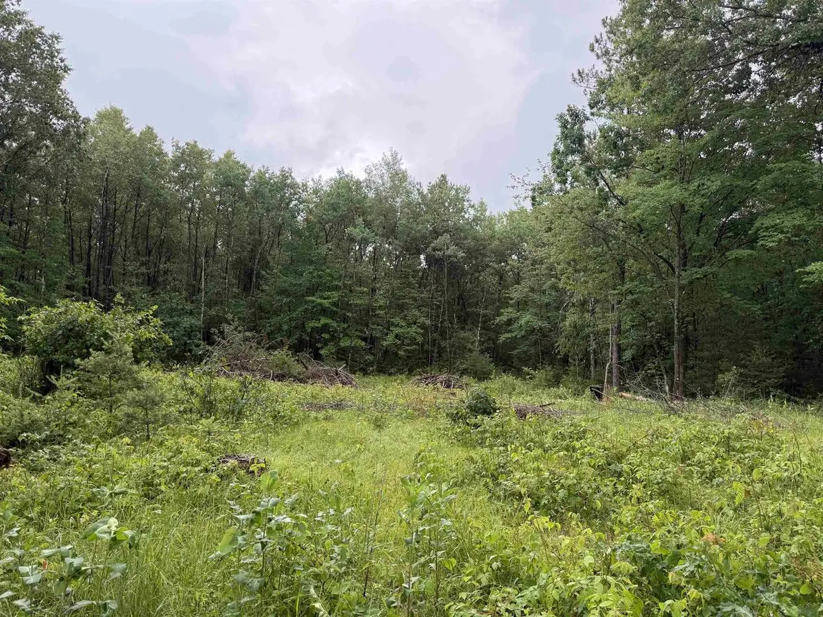 W1561 HAWKS NEST TRAIL, Keshena, WI 54135 - #1