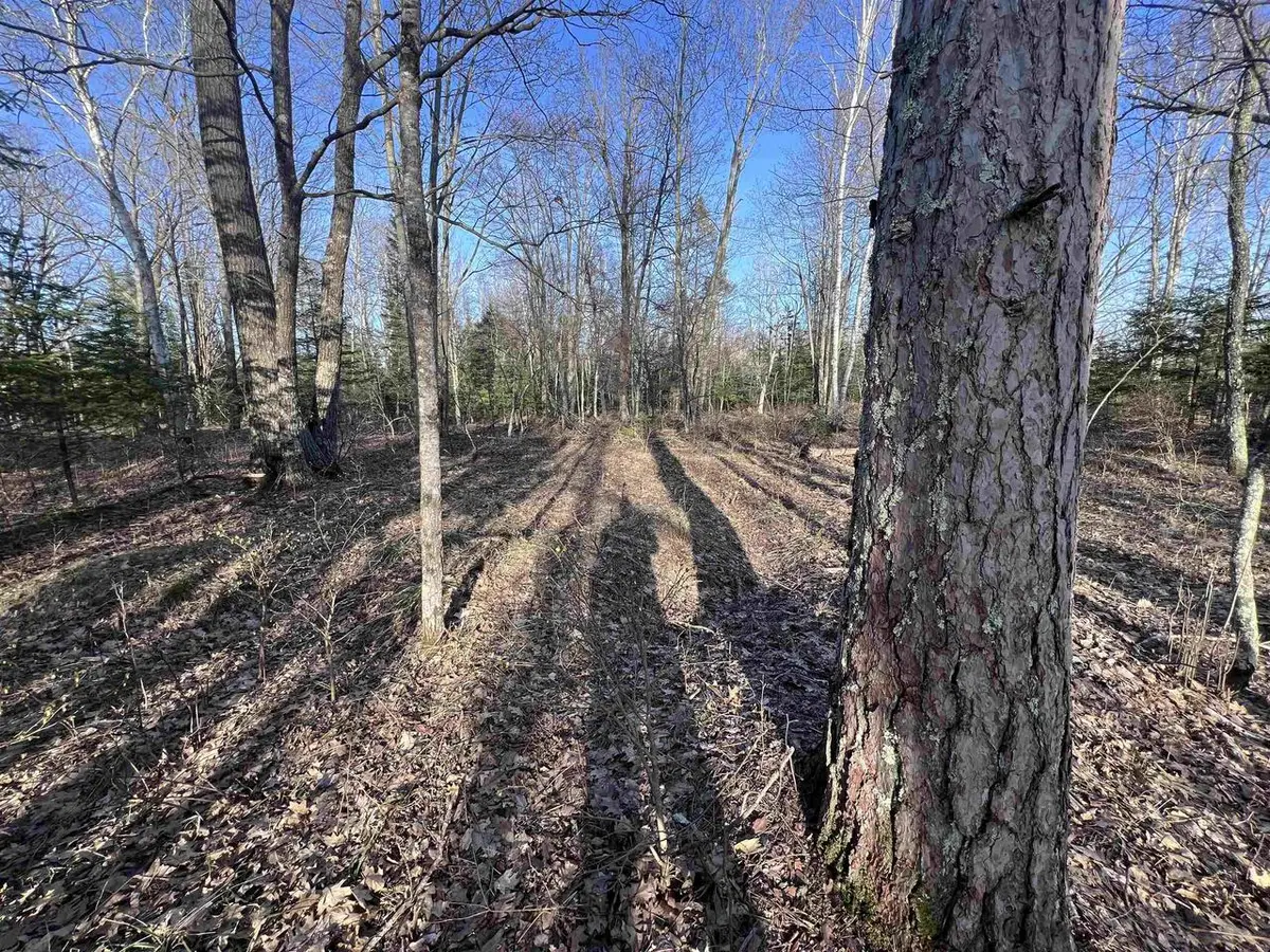 NEJEDLO ROAD, Wausaukee, WI 54177 - #1
