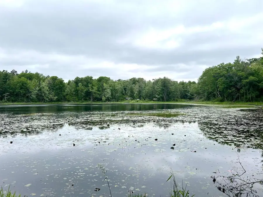COUNTY P ROAD, Pound, WI 54161 - #2