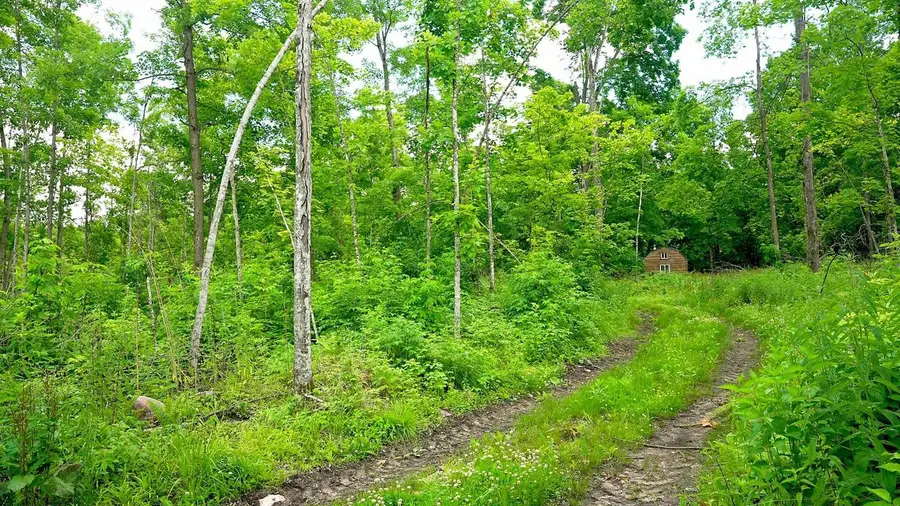 WOODLAWN E ROAD, Mattoon, WI 54450 - #3