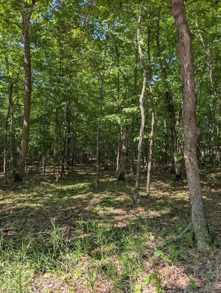 JACKSON HARBOR ROAD, Washington Island, WI 54246 - #2