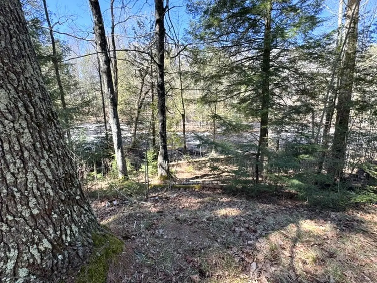 14089 SECTION 4 LANE, Mountain, WI 54149 - #1