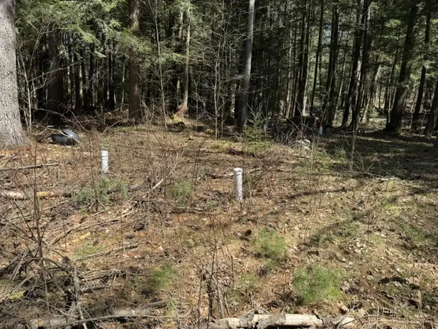 14089 SECTION 4 LANE, Mountain, WI 54149 - #3