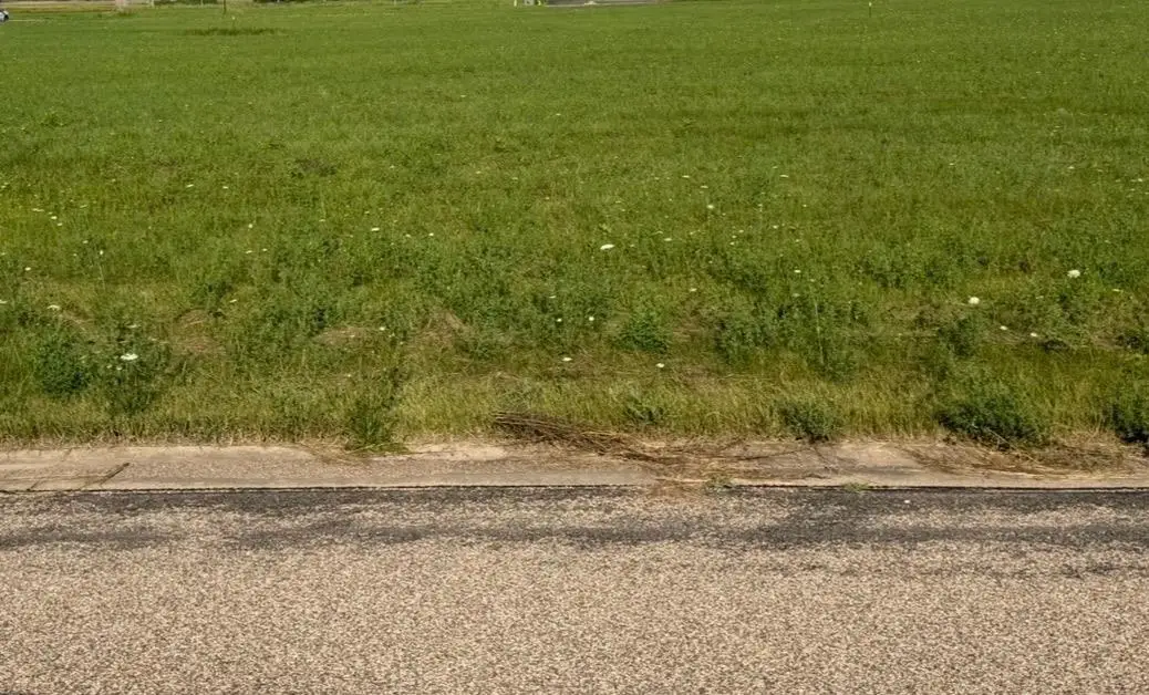 WHITE TAIL DRIVE, Fremont, WI 54940 - #1