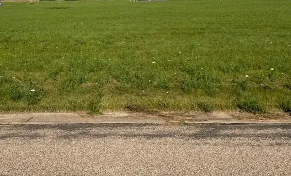 WHITE TAIL DRIVE, Fremont, WI 54940