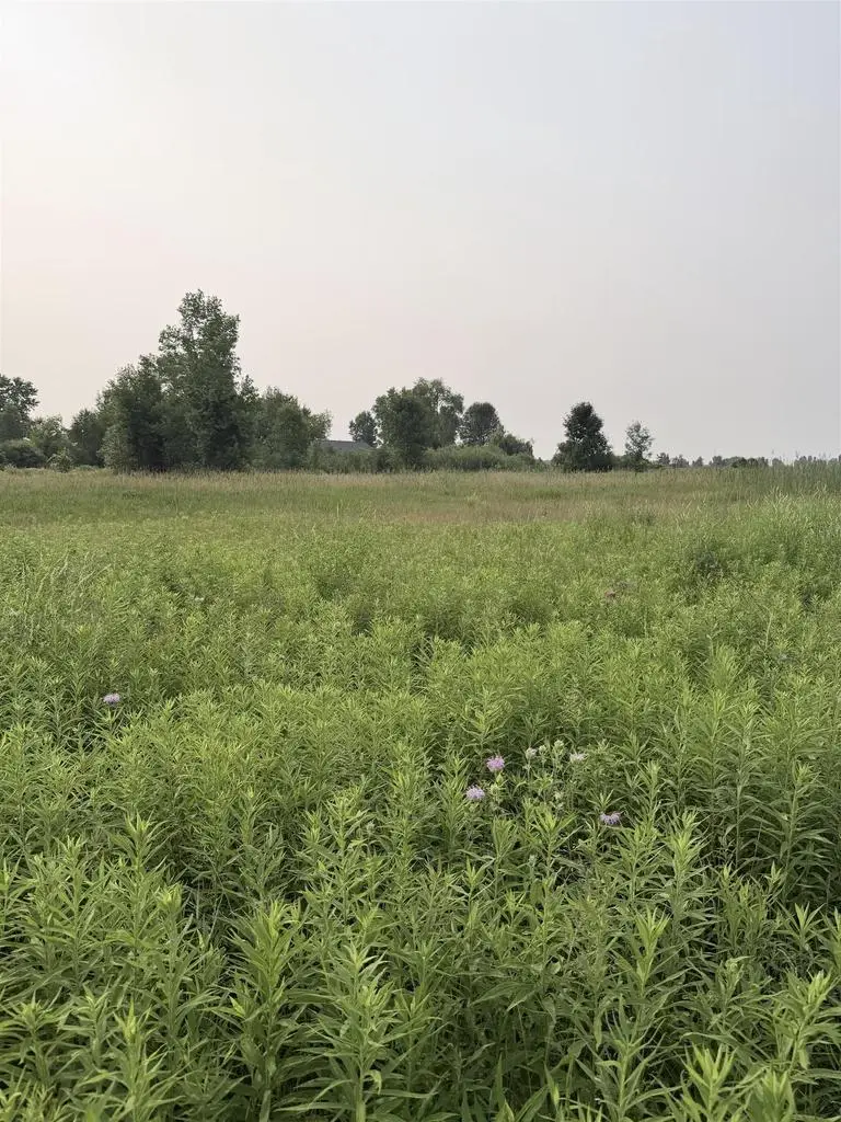FOXWOODS LANE, Abrams, WI 54101 - #3