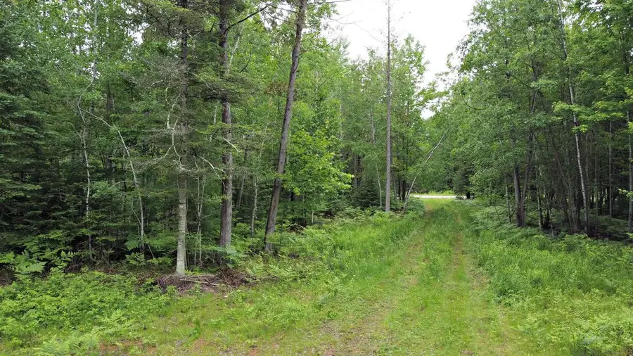 CHAPMAN ROAD, Niagara, WI 54151 - #2