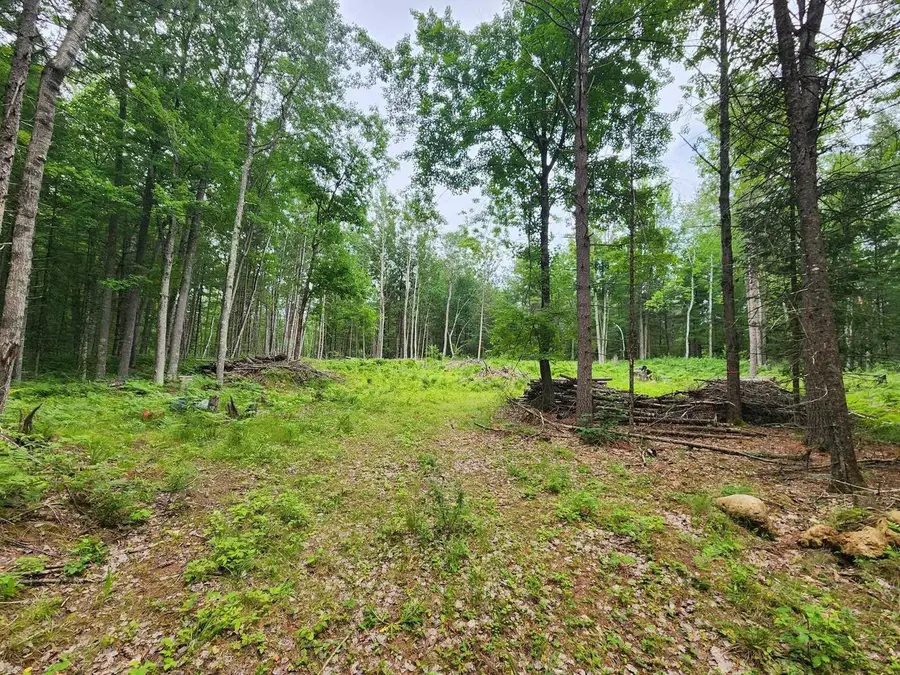 N11866 MENOMINEE SHORES DRIVE, Wausaukee, WI 54177 - #3