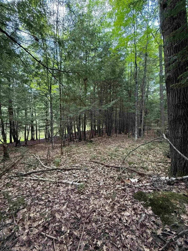 DEER LANE, Pelican Lake, WI 54463 - #1