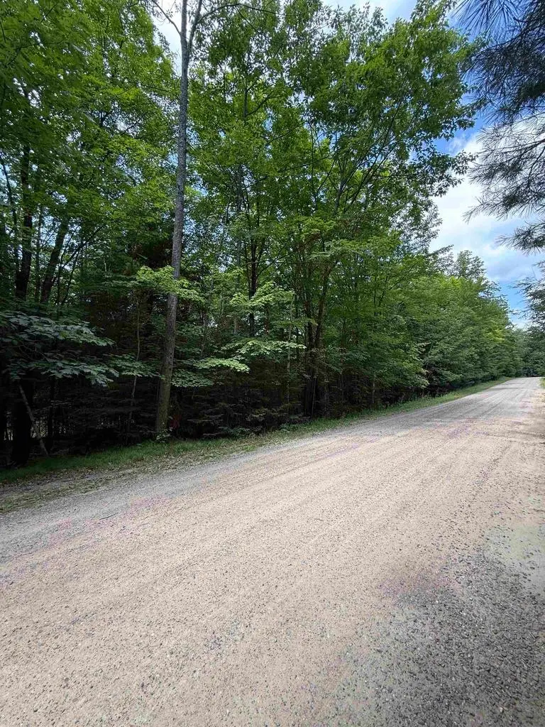 DEER LANE, Pelican Lake, WI 54463 - #2