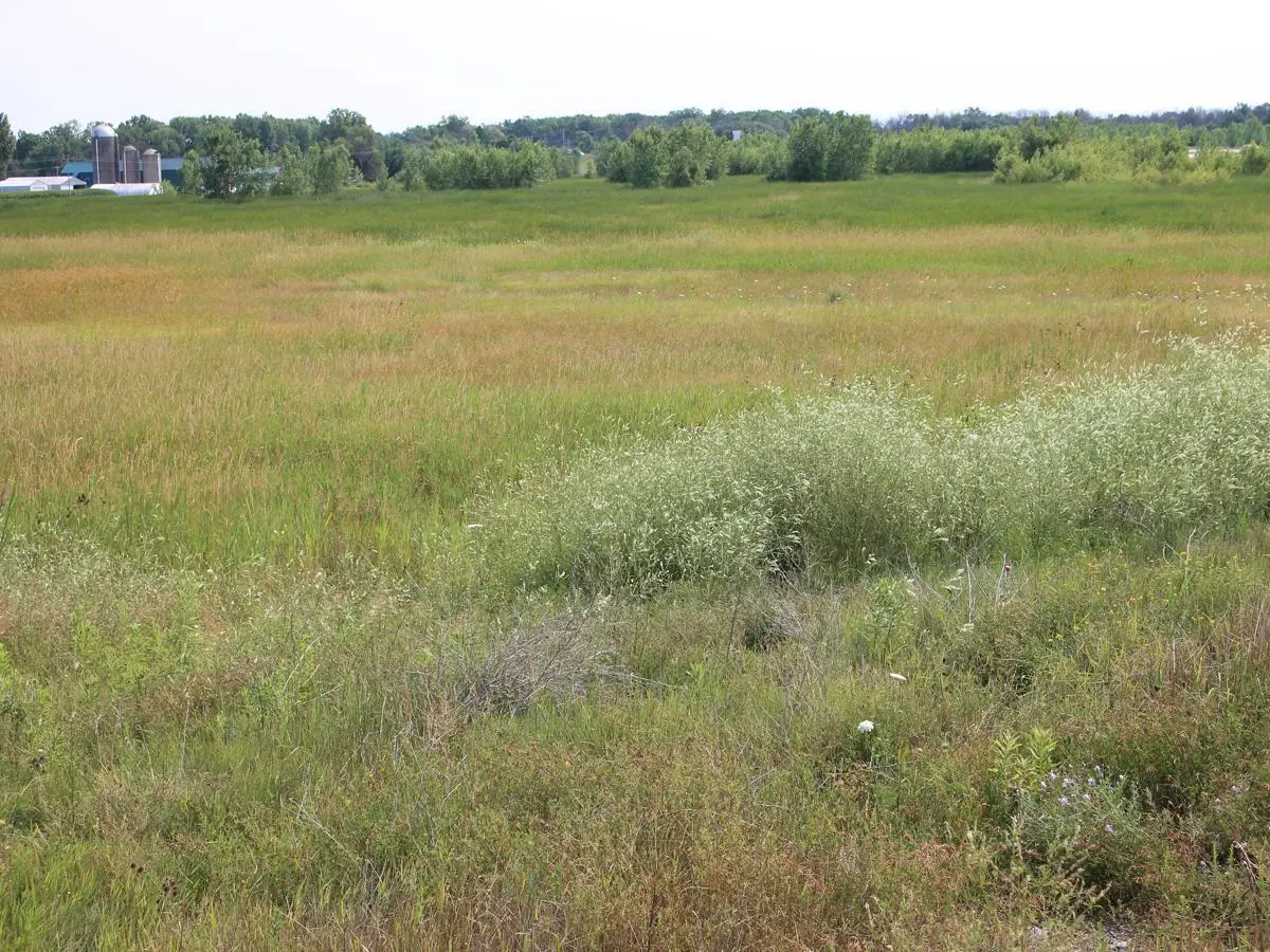 SANDHILL DRIVE, Oconto, WI 54153 - #1