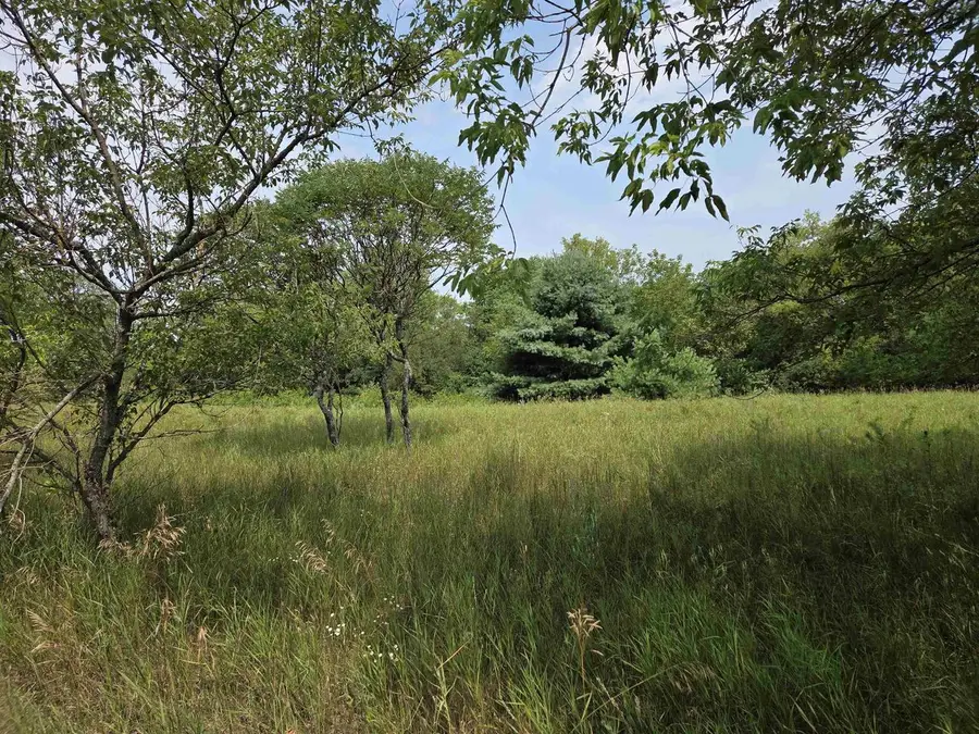 POLK AVENUE, Wausaukee, WI 54177 - #3