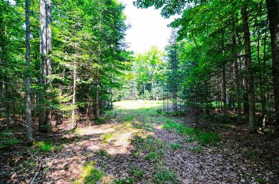 W15310 OLD J ROAD, Athelstane, WI 54104 - #2