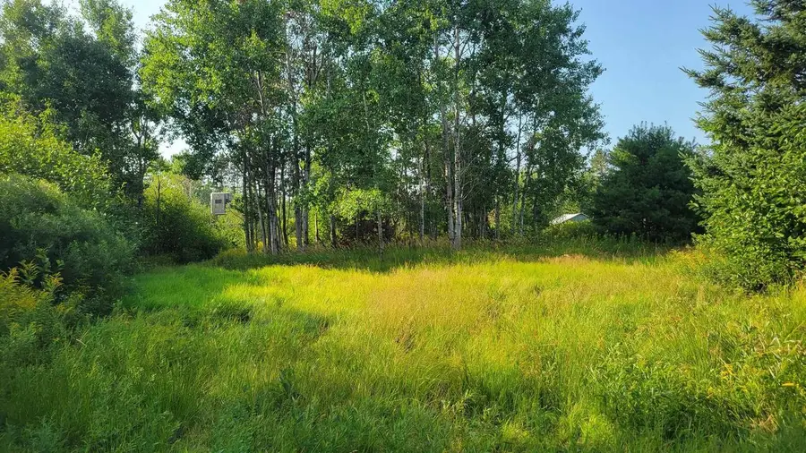 W1146 HWY 8, Brantwood, WI 54513 - #3