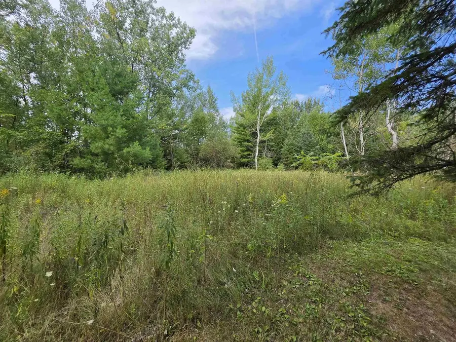 243 PARK AVENUE, Oconto Falls, WI 54154 - #2