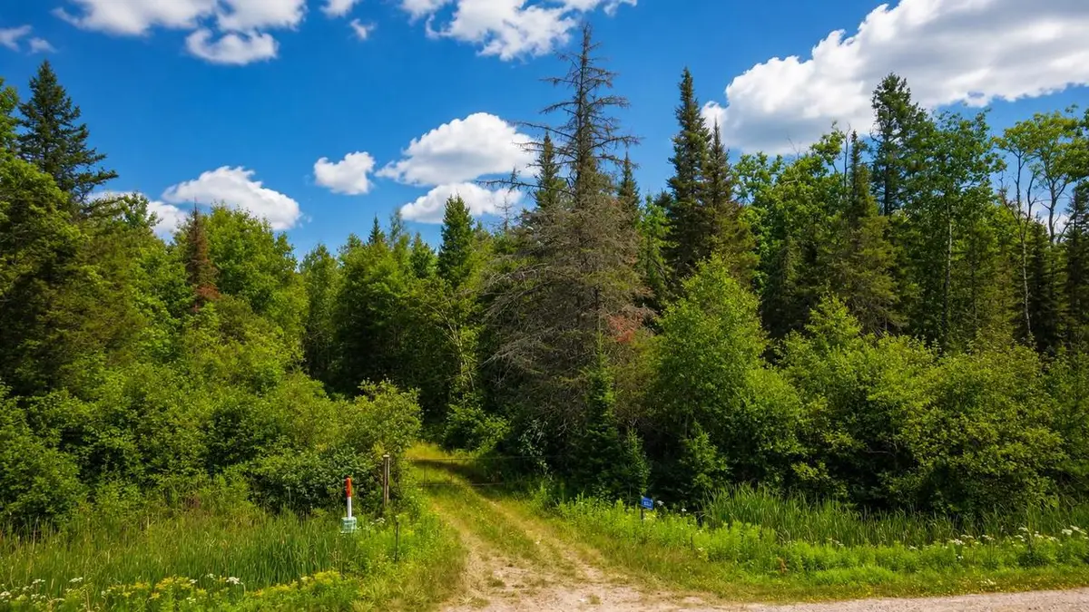 6874 STATE HWY 32, Argonne, WI 54511 - #1