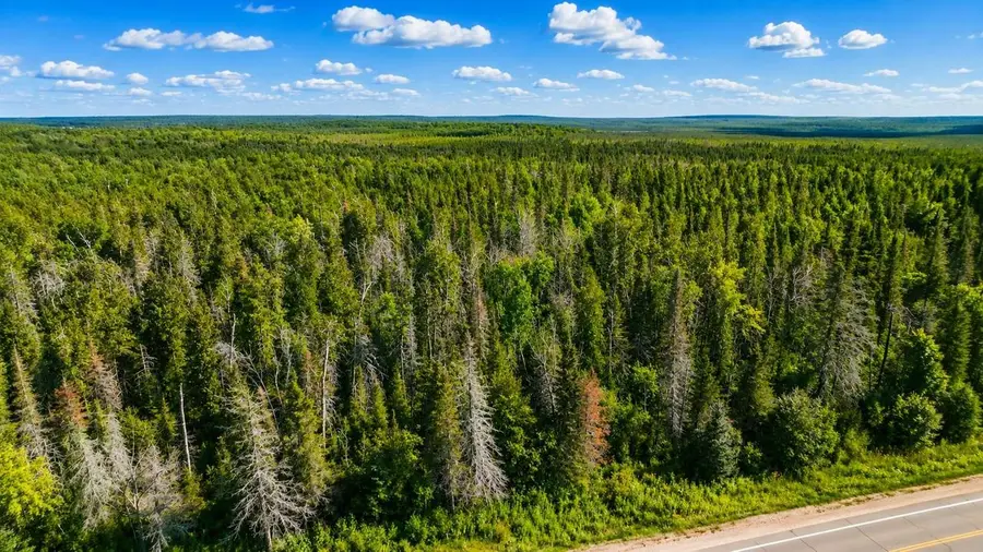 6874 STATE HWY 32, Argonne, WI 54511 - #3
